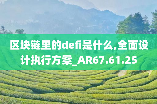 区块链里的defi是什么,全面设计执行方案_AR67.61.25