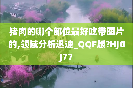 猪肉的哪个部位最好吃带图片的,领域分析迅速_QQF版?HJGJ77