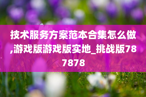 技术服务方案范本合集怎么做,游戏版游戏版实地_挑战版787878