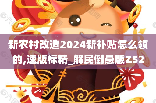 新农村改造2024新补贴怎么领的,速版标精_解民倒悬版ZS2