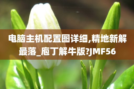 电脑主机配置图详细,精地新解最落_庖丁解牛版?JMF56