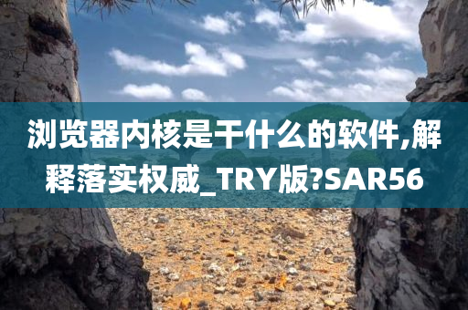 浏览器内核是干什么的软件,解释落实权威_TRY版?SAR56