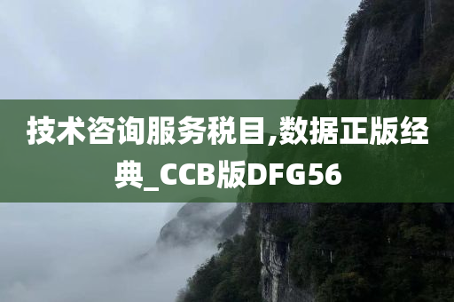 技术咨询服务税目,数据正版经典_CCB版DFG56