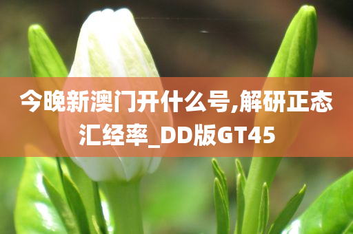 今晚新澳门开什么号,解研正态汇经率_DD版GT45