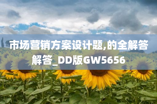 市场营销方案设计题,的全解答解答_DD版GW5656