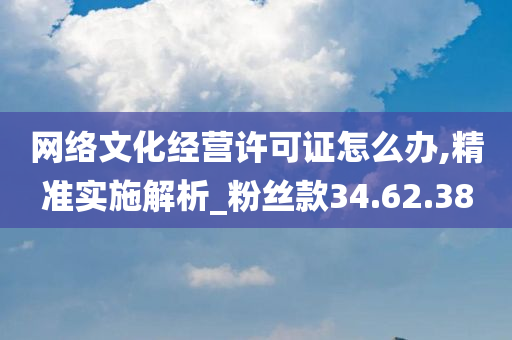 网络文化经营许可证怎么办,精准实施解析_粉丝款34.62.38