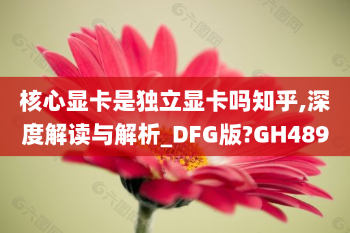 核心显卡是独立显卡吗知乎,深度解读与解析_DFG版?GH489