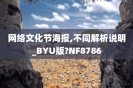 网络文化节海报,不同解析说明_BYU版?NF8786