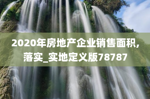 2020年房地产企业销售面积,落实_实地定义版78787