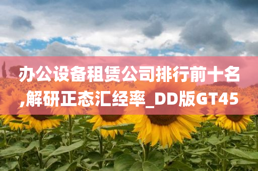 办公设备租赁公司排行前十名,解研正态汇经率_DD版GT45