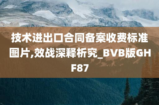 技术进出口合同备案收费标准图片,效战深释析究_BVB版GHF87