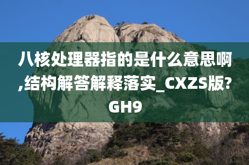 八核处理器指的是什么意思啊,结构解答解释落实_CXZS版?GH9