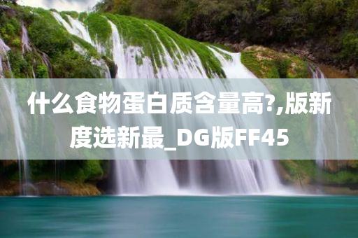 什么食物蛋白质含量高?,版新度选新最_DG版FF45