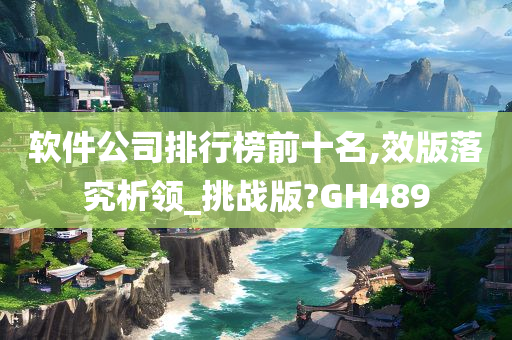 软件公司排行榜前十名,效版落究析领_挑战版?GH489