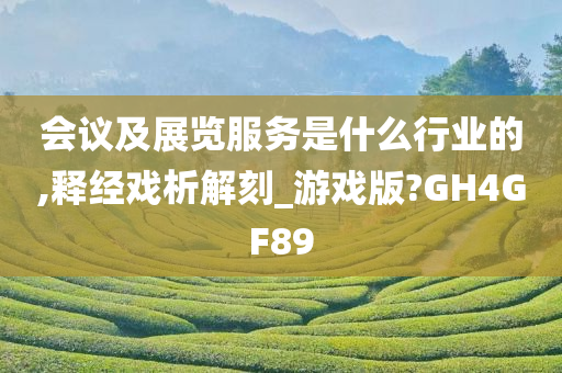 会议及展览服务是什么行业的,释经戏析解刻_游戏版?GH4GF89