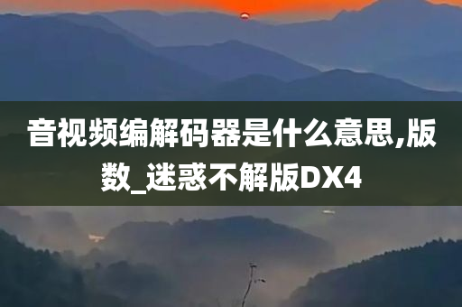 音视频编解码器是什么意思,版数_迷惑不解版DX4