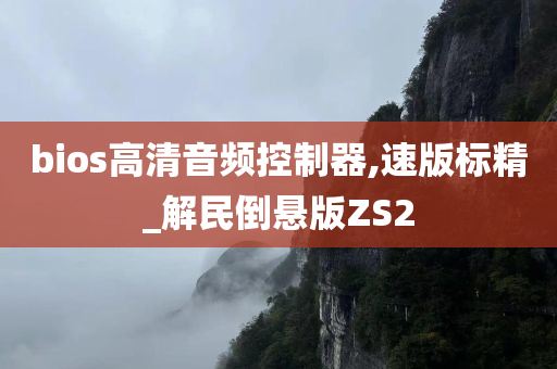 bios高清音频控制器,速版标精_解民倒悬版ZS2