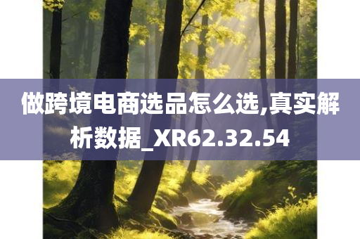 做跨境电商选品怎么选,真实解析数据_XR62.32.54