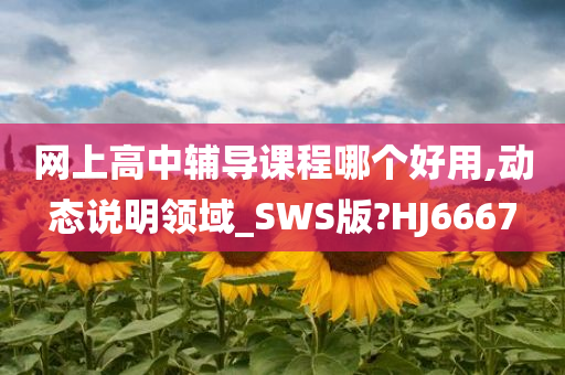 网上高中辅导课程哪个好用,动态说明领域_SWS版?HJ6667