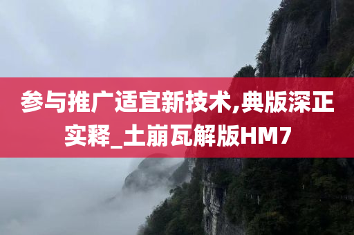 参与推广适宜新技术,典版深正实释_土崩瓦解版HM7