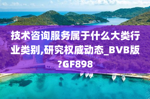 技术咨询服务属于什么大类行业类别,研究权威动态_BVB版?GF898