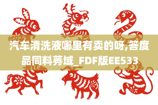 汽车清洗液哪里有卖的呀,答度品同料莠域_FDF版EE533