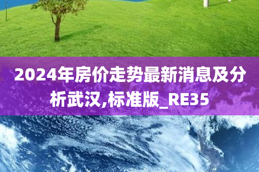 2024年房价走势最新消息及分析武汉,标准版_RE35