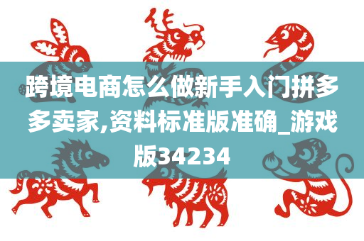 跨境电商怎么做新手入门拼多多卖家,资料标准版准确_游戏版34234