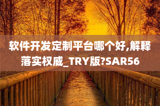 软件开发定制平台哪个好,解释落实权威_TRY版?SAR56