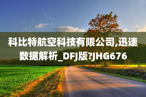 科比特航空科技有限公司,迅速数据解析_DFJ版?JHG676