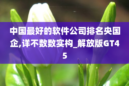 中国最好的软件公司排名央国企,详不数数实构_解放版GT45