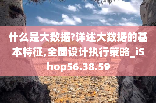 什么是大数据?详述大数据的基本特征,全面设计执行策略_iShop56.38.59