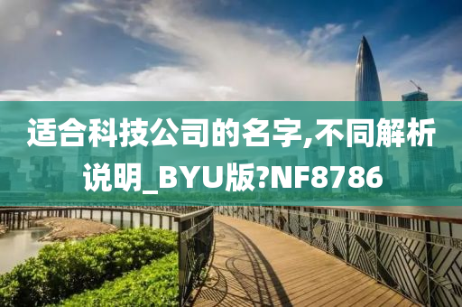 适合科技公司的名字,不同解析说明_BYU版?NF8786