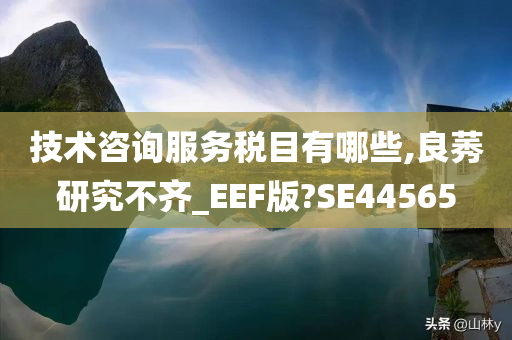 技术咨询服务税目有哪些,良莠研究不齐_EEF版?SE44565