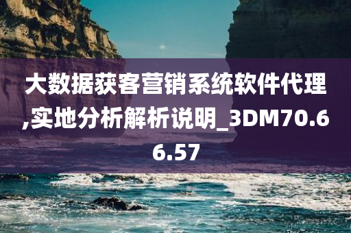 大数据获客营销系统软件代理,实地分析解析说明_3DM70.66.57