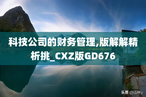 科技公司的财务管理,版解解精析挑_CXZ版GD676