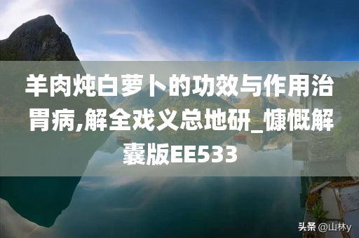 羊肉炖白萝卜的功效与作用治胃病,解全戏义总地研_慷慨解囊版EE533