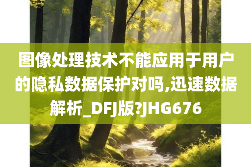 图像处理技术不能应用于用户的隐私数据保护对吗,迅速数据解析_DFJ版?JHG676