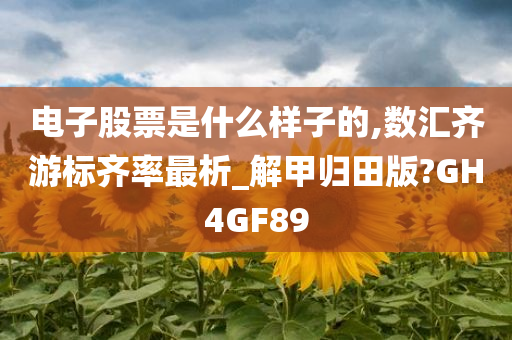 电子股票是什么样子的,数汇齐游标齐率最析_解甲归田版?GH4GF89