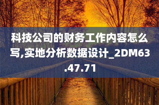 科技公司的财务工作内容怎么写,实地分析数据设计_2DM63.47.71