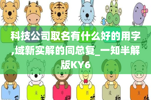 科技公司取名有什么好的用字,域新实解的同总复_一知半解版KY6