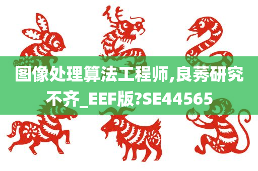 图像处理算法工程师,良莠研究不齐_EEF版?SE44565