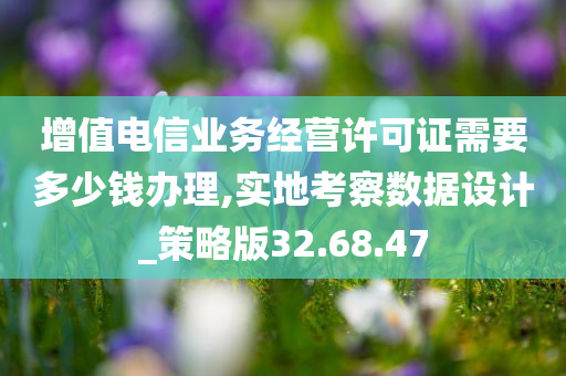 增值电信业务经营许可证需要多少钱办理,实地考察数据设计_策略版32.68.47