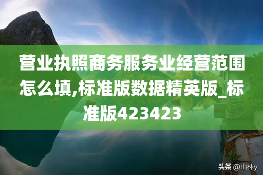 营业执照商务服务业经营范围怎么填,标准版数据精英版_标准版423423