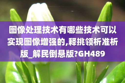 图像处理技术有哪些技术可以实现图像增强的,释挑领析准析版_解民倒悬版?GH489