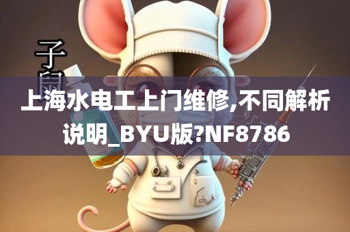 上海水电工上门维修,不同解析说明_BYU版?NF8786