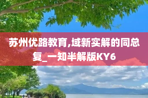 苏州优路教育,域新实解的同总复_一知半解版KY6