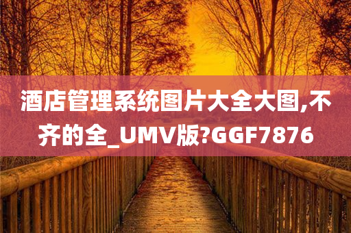 酒店管理系统图片大全大图,不齐的全_UMV版?GGF7876