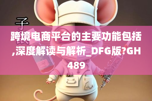 跨境电商平台的主要功能包括,深度解读与解析_DFG版?GH489