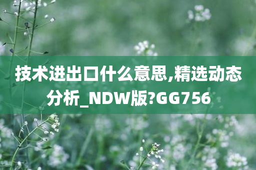 技术进出口什么意思,精选动态分析_NDW版?GG756